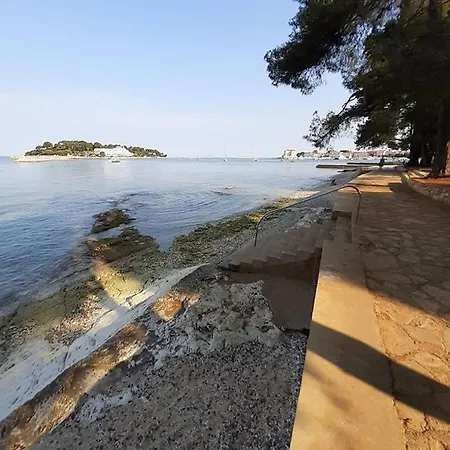 Apartment Dragana Fap 2+2 Oazis Near The Porec