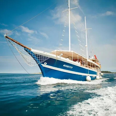 Dragana Fap 2+2 Oazis Near The * Porec